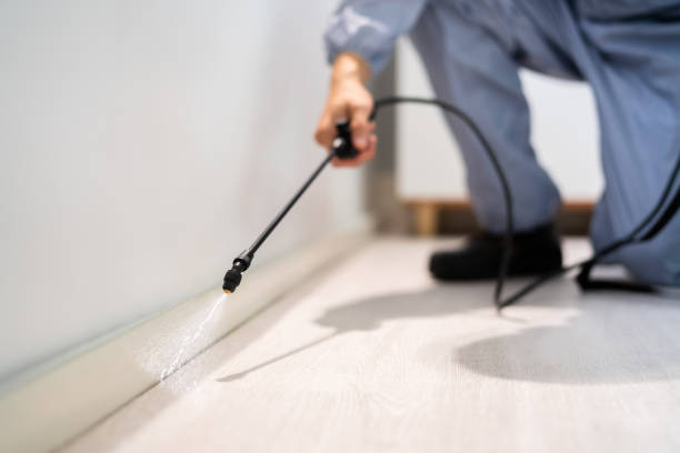 Licensed Ant Control service in Calhoun City, MS - Nex Pest Control