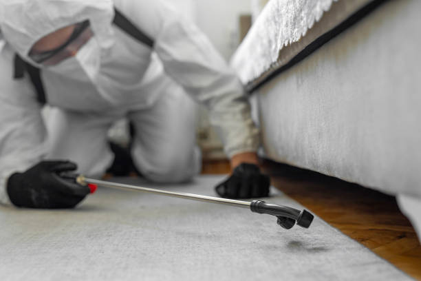 Professional Ant Control technician working in Calhoun City, MS