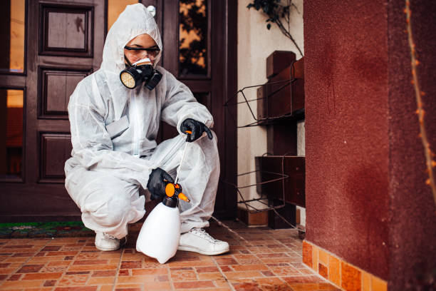Reliable Ant Control contractor in Calhoun City, MS by Nex Pest Control