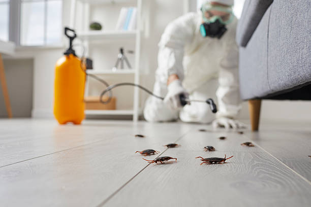 Trusted Fumigation Services service in Calhoun City, MS - Nex Pest Control